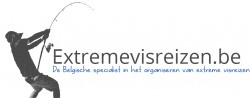 Afbeelding invoegen